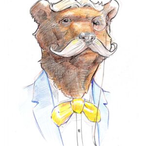 Bears