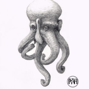Elephantopus