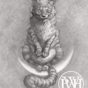 Cheshire Cat on the Moon