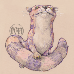 Cheshire Cat 2009