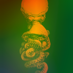 Octopus in Orange