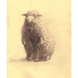 In Sheep's Clothing
