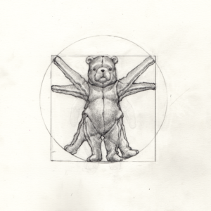 Ventruvian Bear