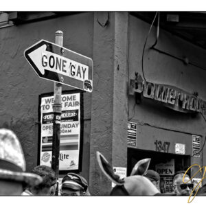 Folsom Street Gone Gay 2018. 18 x 12