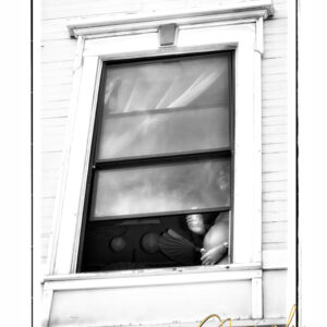 Folsom Street. Dick ( Rear Window ) 2016. 18 x 12