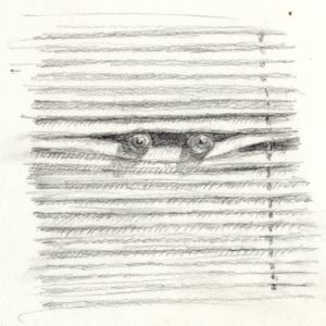 Spoopy Head: Peepers